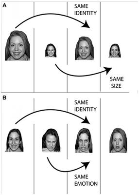 Depressive symptoms in early adolescence: the dynamic interplay between emotion regulation and affective flexibility